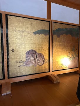 名古屋城に投稿された画像（2025/5/7）