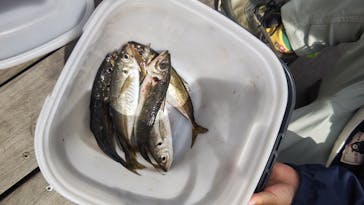 環境水族館アクアマリンふくしまに投稿された画像（2025/5/7）