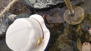 環境水族館アクアマリンふくしまに投稿された画像（2025/5/7）