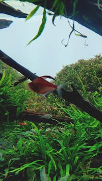 AOAO SAPPOROに投稿された画像（2025/5/7）