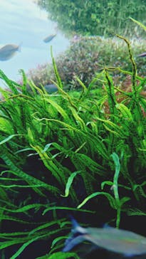 AOAO SAPPOROに投稿された画像（2025/5/7）