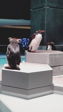 AOAO SAPPOROに投稿された画像（2025/5/7）