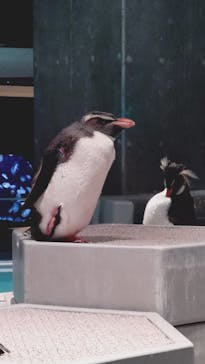 AOAO SAPPOROに投稿された画像（2025/5/7）