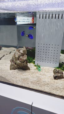 AOAO SAPPOROに投稿された画像（2025/5/7）