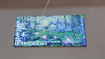 モネ　睡蓮のときに投稿された画像（2025/5/7）