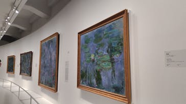 モネ　睡蓮のときに投稿された画像（2025/5/7）