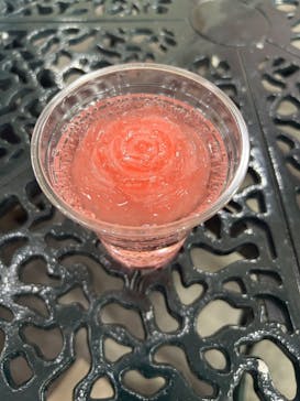 レオマリゾートに投稿された画像（2025/5/7）