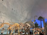 福井県立恐竜博物館に投稿された画像（2025/5/7）