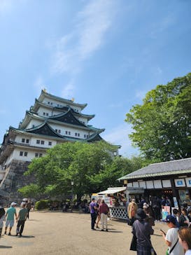 名古屋城に投稿された画像（2025/5/7）