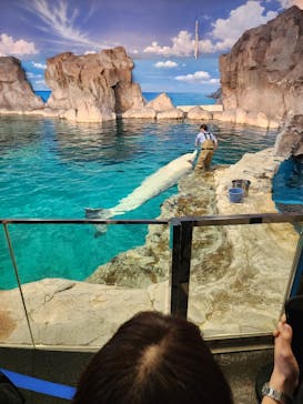 名古屋港水族館に投稿された画像（2025/5/7）