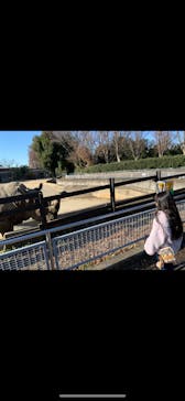 東武動物公園に投稿された画像（2025/5/7）