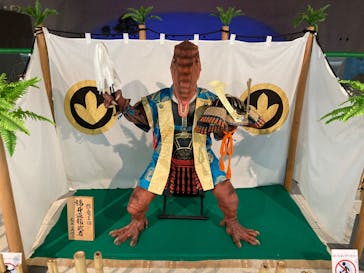 福井県立恐竜博物館に投稿された画像（2025/5/7）