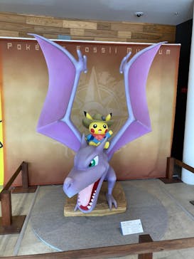 福井県立恐竜博物館に投稿された画像（2025/5/7）