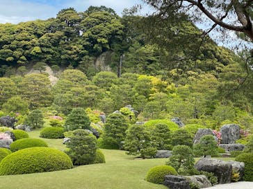 足立美術館に投稿された画像（2025/5/7）