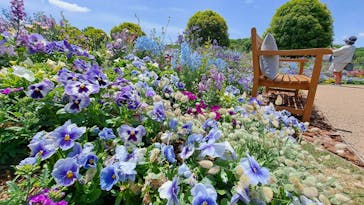 ぎふワールド・ローズガーデンに投稿された画像（2025/5/7）