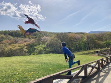 那須どうぶつ王国に投稿された画像（2025/5/7）