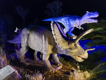 伊豆高原グランイルミに投稿された画像（2025/5/7）