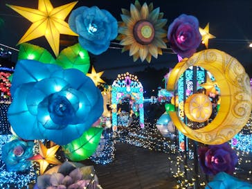 伊豆高原グランイルミに投稿された画像（2025/5/7）