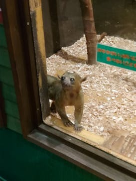 伊豆高原グランイルミに投稿された画像（2025/5/7）