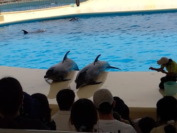 マリンワールド海の中道に投稿された画像（2025/5/7）