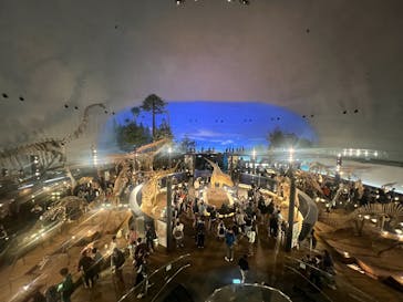 福井県立恐竜博物館に投稿された画像（2025/5/7）