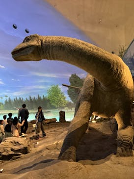 福井県立恐竜博物館に投稿された画像（2025/5/7）