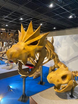 福井県立恐竜博物館に投稿された画像（2025/5/7）
