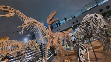 福井県立恐竜博物館に投稿された画像（2025/5/7）