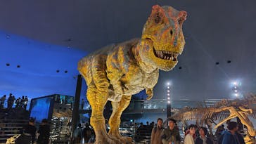 福井県立恐竜博物館に投稿された画像（2025/5/7）
