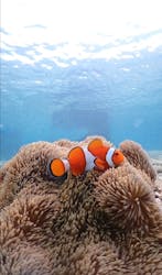 宮古島マリン GB QUESTに投稿された画像（2025/5/7）