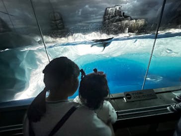 名古屋港水族館に投稿された画像（2025/5/7）