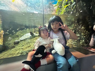 名古屋港水族館に投稿された画像（2025/5/7）