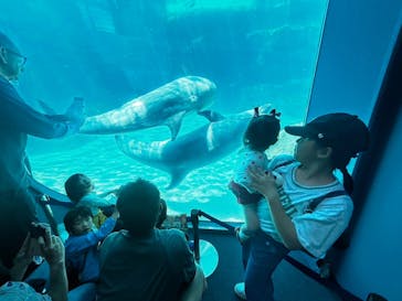 名古屋港水族館に投稿された画像（2025/5/7）