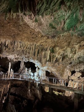 石垣島鍾乳洞に投稿された画像（2025/5/7）