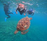 アイナ石垣島に投稿された画像（2025/5/7）