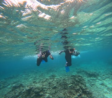 アイナ石垣島に投稿された画像（2025/5/7）