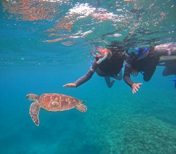 アイナ石垣島に投稿された画像（2025/5/7）