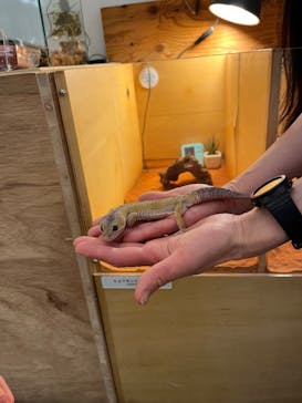 Moff アニマル カフェ イーアス 高尾店に投稿された画像（2025/5/7）