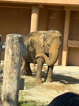 名古屋市東山動植物園に投稿された画像（2025/5/7）