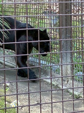 名古屋市東山動植物園に投稿された画像（2025/5/7）
