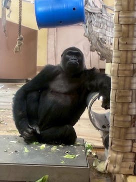 名古屋市東山動植物園に投稿された画像（2025/5/7）