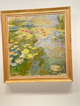 モネ　睡蓮のときに投稿された画像（2025/5/7）