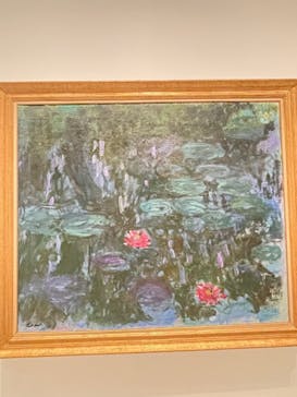 モネ　睡蓮のときに投稿された画像（2025/5/7）