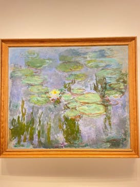 モネ　睡蓮のときに投稿された画像（2025/5/7）