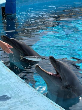 マリンワールド海の中道に投稿された画像（2025/5/7）