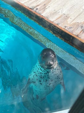 マリンワールド海の中道に投稿された画像（2025/5/7）