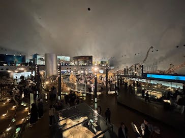 福井県立恐竜博物館に投稿された画像（2025/5/7）