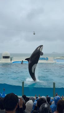 鴨川シーワールドに投稿された画像（2025/5/7）