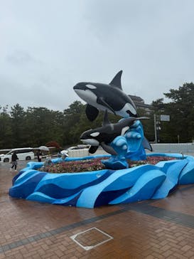 鴨川シーワールドに投稿された画像（2025/5/7）