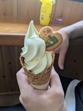 熱川バナナワニ園に投稿された画像（2025/5/8）